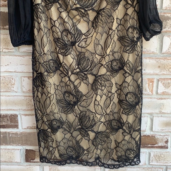 Tadashi Shoji Bishop Lace Dress Sz 10 - Picture 4 of 9